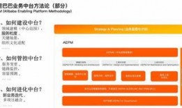 阿巴巴最新爆料新闻网站,揭秘科技巨头背后的秘密与挑战